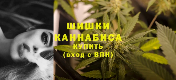 mdpv Богородск