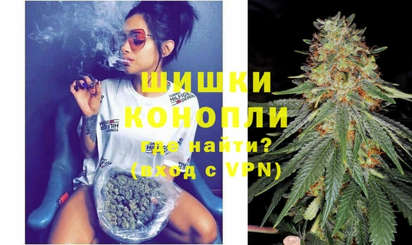первитин Богородицк
